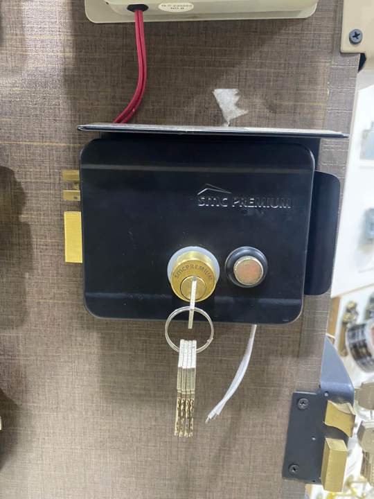 Electric%20main%20gate%20lock%20automatic%20main%20gate%20lock%20-%20Image%202