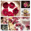 500g Herbarium Moisture Absorbers Reusable Silica Gel Sand Desiccant Reuse Fit Flower Drying DIY Craft Supplies Household. 