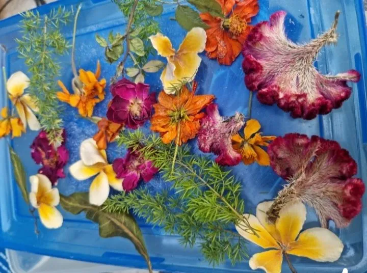 Silica%20gel%20flower%20drying%20powder%20250%20gram%20and%20500%20gram%20%7C%20Silica%20gel%20flower%20drying%20dry%20powder%20%7C%20Silica%20gel%20for%20drying%20wedding%20bouquet%20%7C%20Silica%20gel%20for%20drying%20Nuts%20and%20seeds%20%7C%20Drying%20Powder%20for%20flowers%20%7C%20Drying%20flowers%20powder%20for%20resin%20art%20-%20Image%205