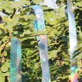 2 Rolls Bird Scare Type Ribbon, Deterrent Visual Audible Reflective Tape to Keep Away Birds, Double Sided Flash Tape. 
