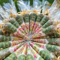 customized name sweet mehndi cone/ mayon events giveaway/ mehndi favours/ mayon return favours / mehndi decor/ mehndi gifts. 