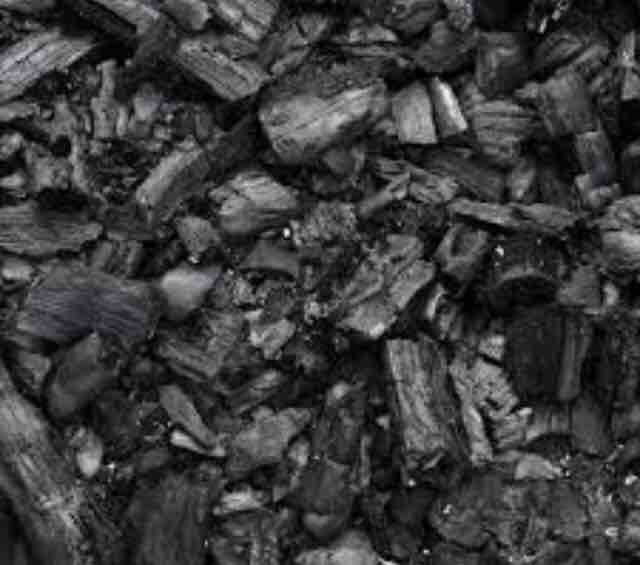 Bio%20charcoal.%202L%20-%20Image%205