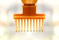 Pack Of 2 Plastic Hair Oil Comb Applicator Bottle Also Use For Hair Dying - Hair Oil Comb with Bottle - Hair Color Applicator. 