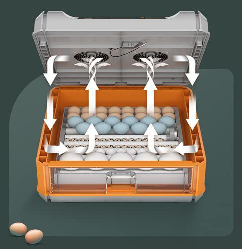 64%20Eggs%20Intelligent%20Incubator%20Drawer%20Type%20Dual%20Supply%20AC/DC%20-%20Image%206