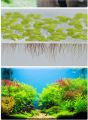 Aqua Plant Vital (Aquarium plant nutrients solution / Aquarium plant food).