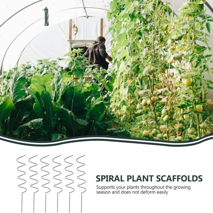 Garden%20Support%20Stake%20Ring%20Metal%20Garden%20Plant%20Supports%20Single%20Stem%20Shrub%20Holder%20Climbing%20Plant%20Stake%20Tower%20Plant%20Supports%20-%20Image%204