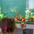 1PC Natural Aquarium Sinkable Driftwood Fish Tank Decoration Wood Aquatic Plants Landscape. 
