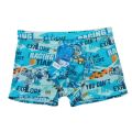 4 Pis China Ice Silk Print Underwear Boxer For Men - Soft Cool Slim Fit Breathable Stretch Material Best quality Well Design Brief For Boys - 4 Pis China Ice Silk Boxer Set.