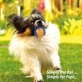 Pet Dog Squeaky Toys Ball Puppy Chew Toys Sound Pure Natural Non-toxic  Outdoor Play Small Big Dog Funny Elasticity Ball. 