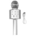 WS 858 Portable Rechargeable Wireless Bluetooth Microphone & HiFi Speaker:. 