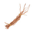 Aquarium Micro Landscape Natural Driftwood Root Trunk Tree DIY Home Fish Tank Ornaments.