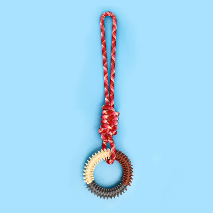 Supet%20Interactive%20Training%20Pet%20Toy%20Ring%20Spiked%20Ring%20Dog%20Teeth%20Cleaning%20Pet%20Supplies%20-%20Image%207