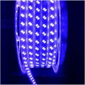 Double LED rope light celling light for indoor and outdoor decorations. 