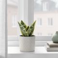IKEA Artificial potted plant, in/ outdoor, Dia: 9 cm, Height: 21 cm. 
