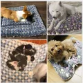 Dog Bed Pet Cushion Blanket Soft Fleece Cat Cushion Puppy Sofa Mat Pads winter. 