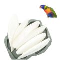 Samandari Jhag (Cuttlefish Bone)   500 Gram ,For Parrots Finches - Pigeons - Lovebirds - Macaw - African Grey - Raw - Parrot - Canary - Finches - Gouldians - Budgies Super Sheikh Trading Co. 