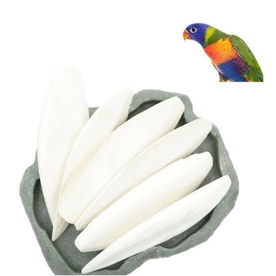 Samandari%20Jhag%20(Cuttlefish%20Bone)%20%20%20500%20Gram%20,For%20Parrots%20Finches%20-%20Pigeons%20-%20Lovebirds%20-%20Macaw%20-%20African%20Grey%20-%20Raw%20-%20Parrot%20-%20Canary%20-%20Finches%20-%20Gouldians%20-%20Budgies%20Super%20Sheikh%20Trading%20Co%20-%20Image%202
