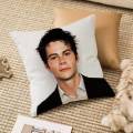 D-Dylan O Brien Pillow Case Anti-dustmite Invisible zipper Sofa Bed.