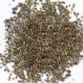 hemp seeds Bhang dana For bird feeds 1(KG). 