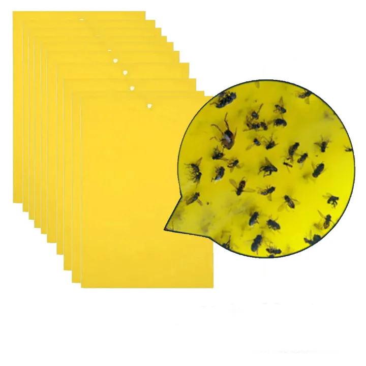 10PCS%20Strong%20Fly%20Traps%20Yellow%20Sticky%20Board%20Dual-Sided%20Catching%20Aphid%20Insects%20Pest%20Killer%20Outdoor%20Fly%20Trap%20Dropship%20-%20Image%207