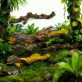 Rainforest Landscape Simulation Lizard Guarding the Palace Climbing Tree Ornament, Spider Snake Tank Landscape Supplies.