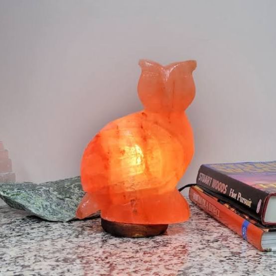 HIMALAYAN SALT OWL-SHAPED LAMP BIG SIZE FOR HOME DECORATION