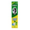 Darlie Double Action Toothpaste (Jumbo Size). 