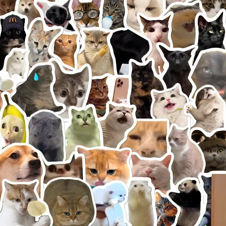 100 pieces / 20 pieces Cute cat stickers meme stickers piece pack ...
