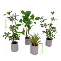 1:6 Dollhouse Miniature Potted Plant Green Leafed Plant Pot Bonsai Home Garden Decor Toy Doll House Accessories. 