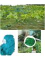 Plastic Macha Net - Plant Support Net 1 pcs. 