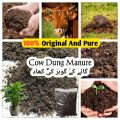 Cow Dung Manure / dung fertilizer/ gobar ki khad / natural. 
