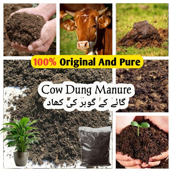 Cow Dung Manure / dung fertilizer/ gobar ki khad / natural