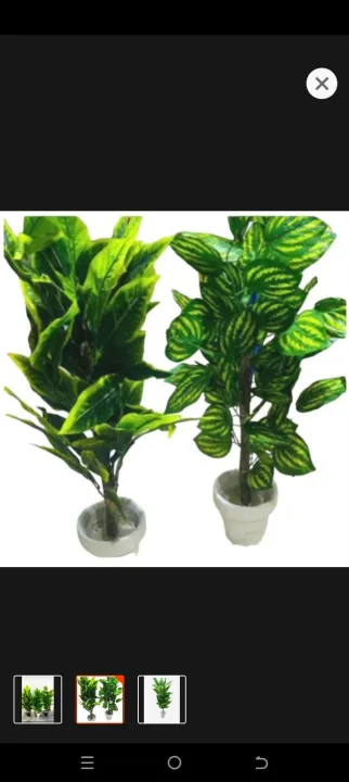 1%20pc%203%20feet%20floor%20plant%20with%20pot%20for%20your%20home%20decor%20-%20Image%202