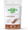 Flax Seeds - Alsi Seed | Diet Food | Rich in Protein  100Gram. 