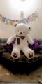 Teddy Bear American 4.5 feet size. 