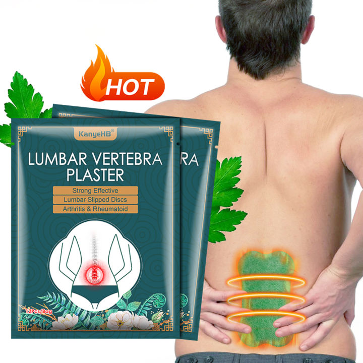 12/24PCS Lumbar Pain Relief Patches Wormwood Analgesic Back Plaster ...