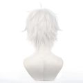 Synthetic Hair Anime Seishiro Nagi Cosplay Wigs Silver White 30cm Short Warping Heat Resistant Man Wig.