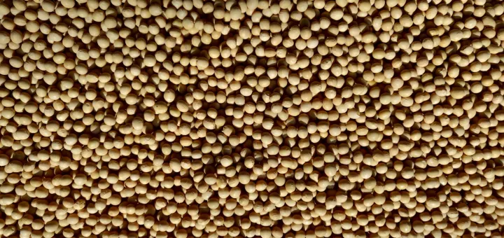 White%20Soyabean%201%20Kg%20-%20Image%205