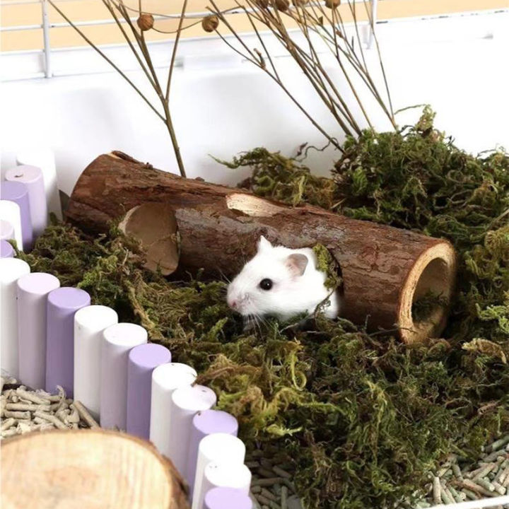 Natural%20Pet%20Toy%20Grinding%20Cleaning%20Chew%20Toy%20Small%20Pets%20Toys%20For%20Hamster%20Rabbit%20Grinding%20Products%20Made%20of%20%20Tree%20Wood%20-%20Image%205