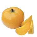 Laulu plant canistel egg fruit plant. 
