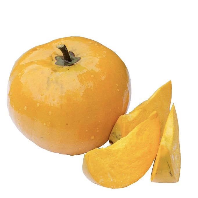 Laulu%20plant%20canistel%20egg%20fruit%20plant%20-%20Image%204