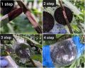 CLONEX ROOTING GEL FOR PLANTS. 