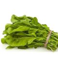 Jarjeer Salad Seeds. Arugula Rocket. Pack of 5. 