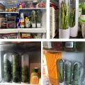 1/2/3PCS Green Fresh Herb Keeper Vanilla Vegetables Fresh Preservation Bottle Herb Saver Storage Container Kitchen Gadgets ﻿. 