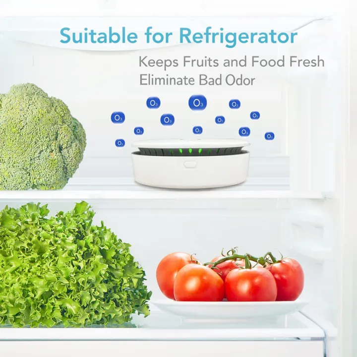 Portable%20Ozone%20&%20Ionic%20Air%20Purifier%202%20in%201%20Eliminate%20Odor%20for%20Home,%20Car,%20Refrigerator,%20Shoe%20Cabinet,%20Pet%20Room,%20Hunting%20Bag%20-%20Image%204