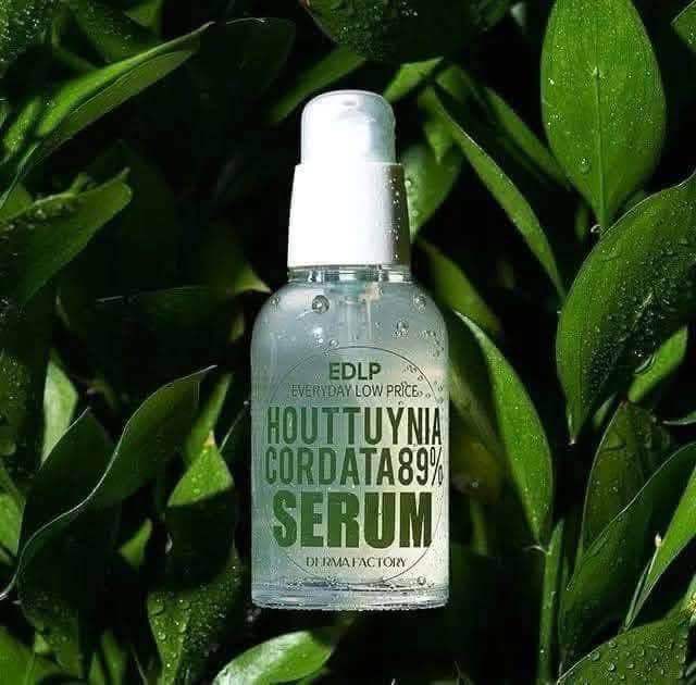 Derma Factory EDLP Cordata 89% Serum | Shop.com.mm