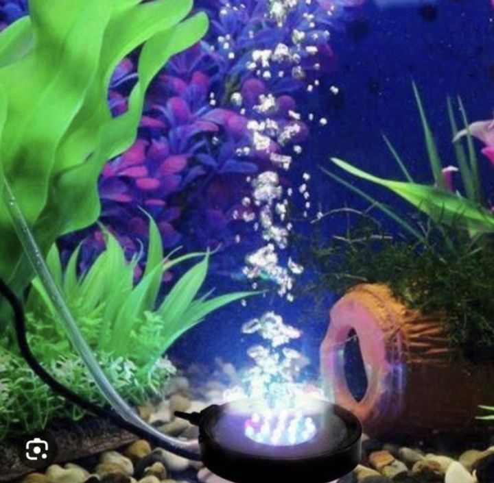 STA Aquarium babbling LED colourful underwater Light-1pcs | Daraz.com.bd