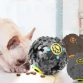 Pet Puppy Fetch Large 14 cm Ball Squeaky Toy Treats and Chews Store Food Dog Supplies Toys. 