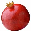 Red angel pomegranate plant malaysian rathu delum pala. 
