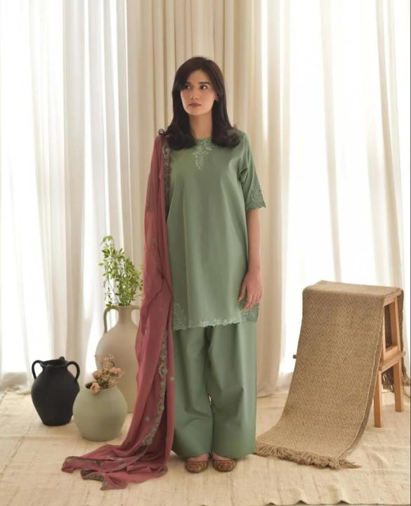Aira%20Farshi%20shalwar%203pc%20-%20Image%203